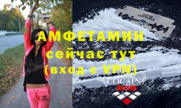 индика Бронницы