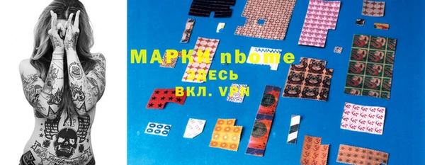 индика Бронницы