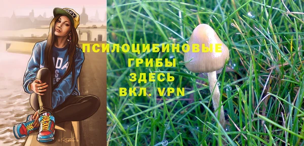 мдма Богородицк